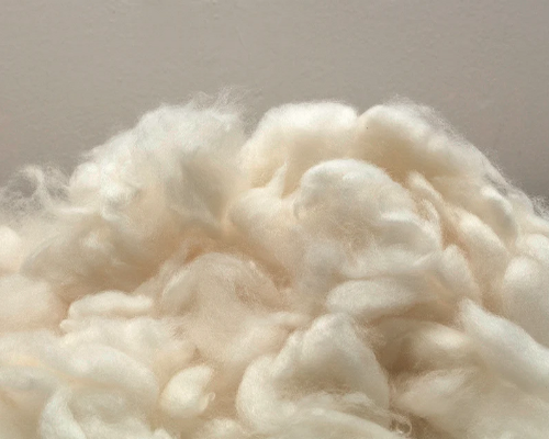 Cashmere Wool Fiber: Different Properties and Uses